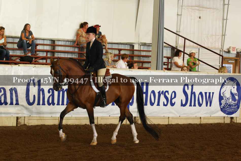 Proof 15YN_09447