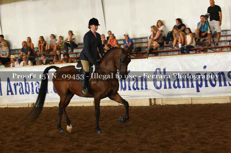 Proof 15YN_09453