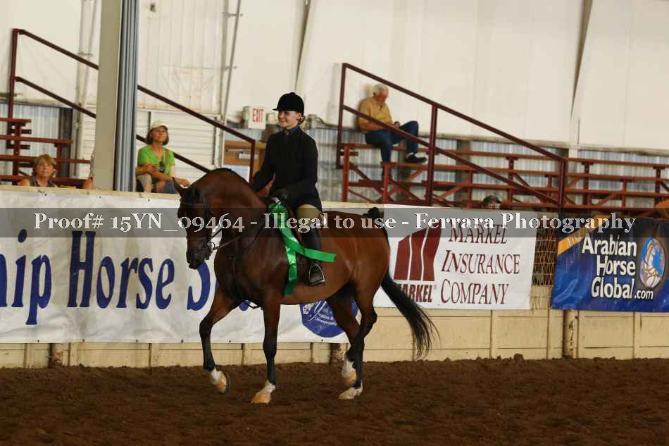Proof 15YN_09464