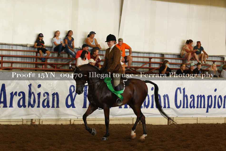 Proof 15YN_09470