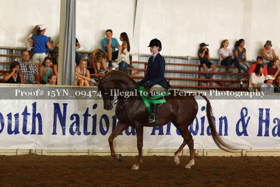 Proof 15YN_09474