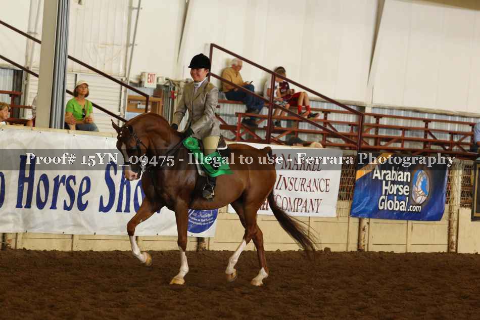 Proof 15YN_09475