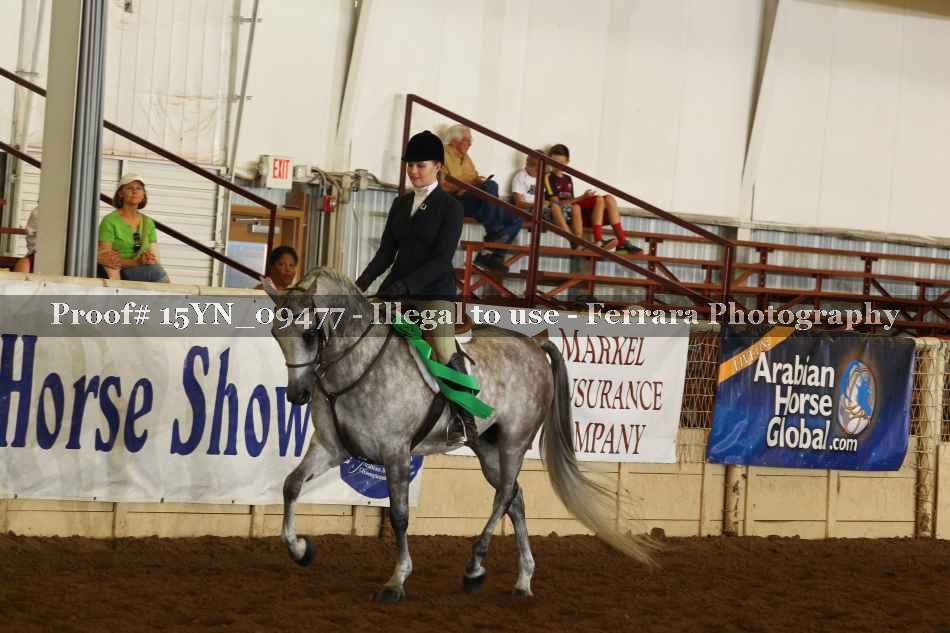 Proof 15YN_09477