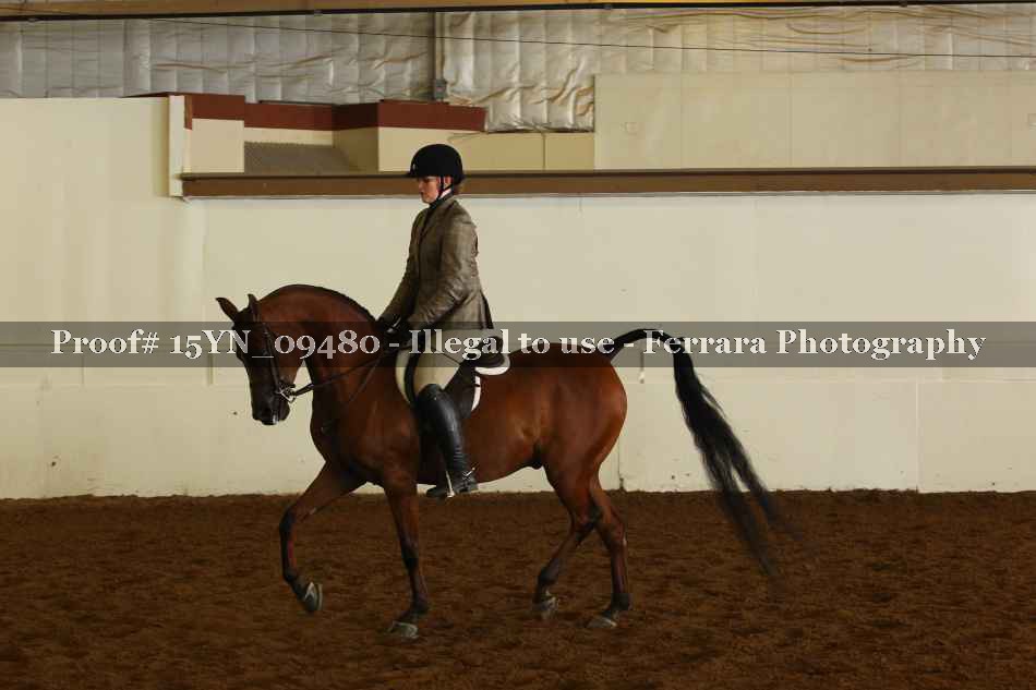Proof 15YN_09480