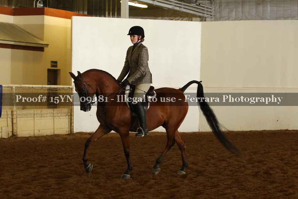 Proof 15YN_09481