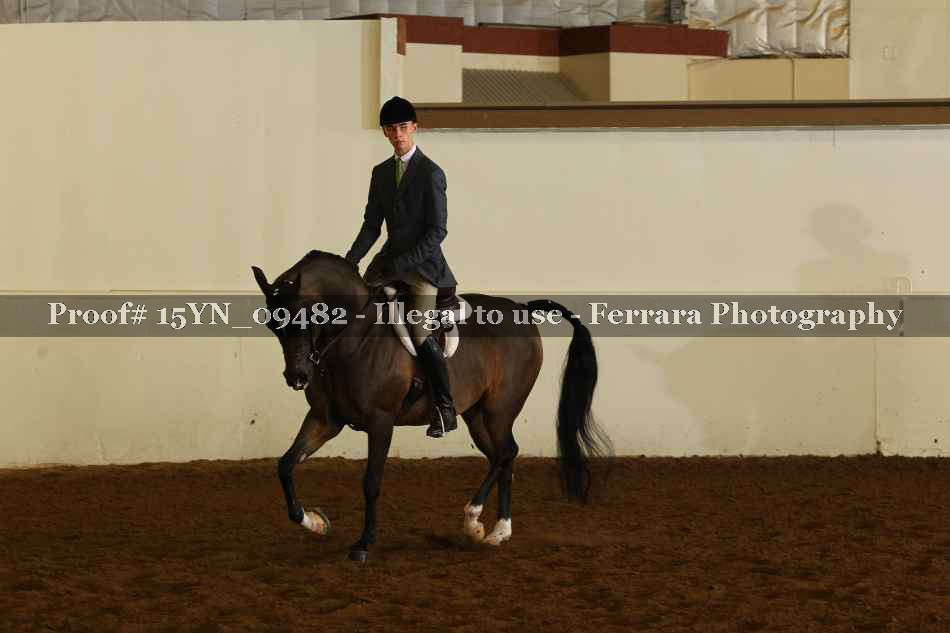 Proof 15YN_09482