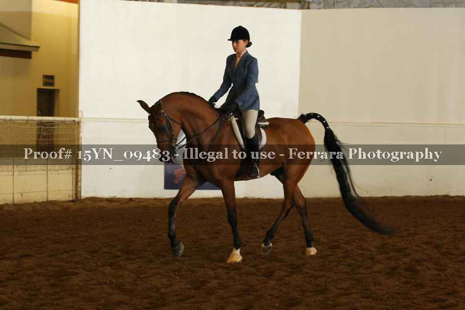 Proof 15YN_09483