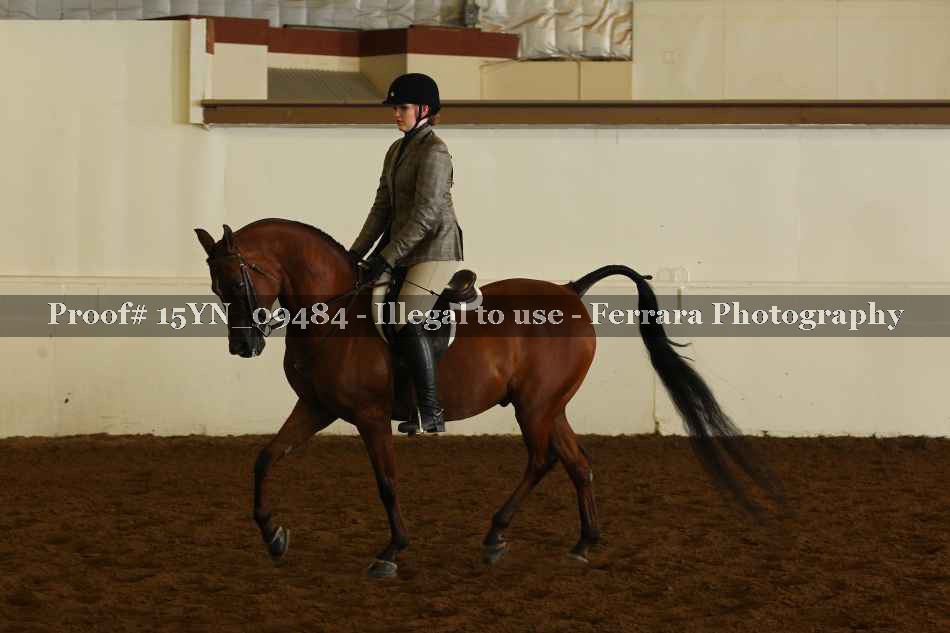 Proof 15YN_09484