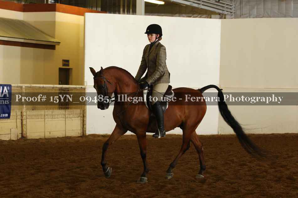 Proof 15YN_09485