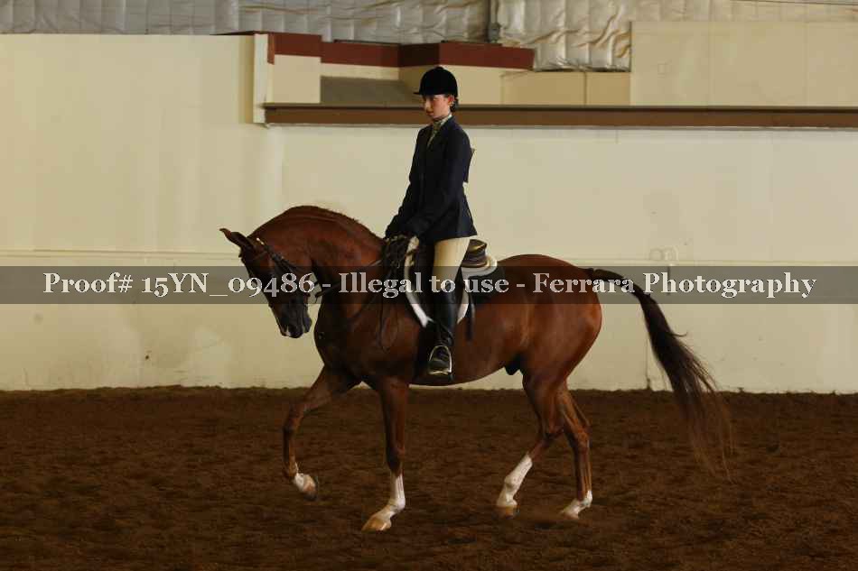 Proof 15YN_09486
