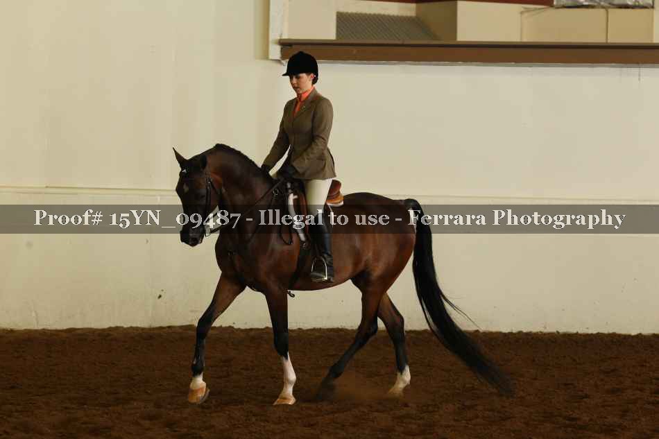 Proof 15YN_09487