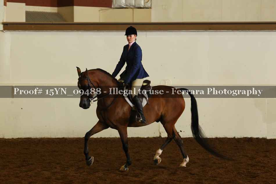 Proof 15YN_09488