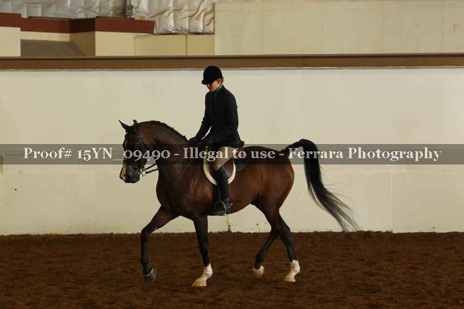 Proof 15YN_09490