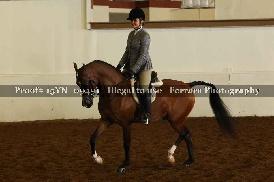 Proof 15YN_09491