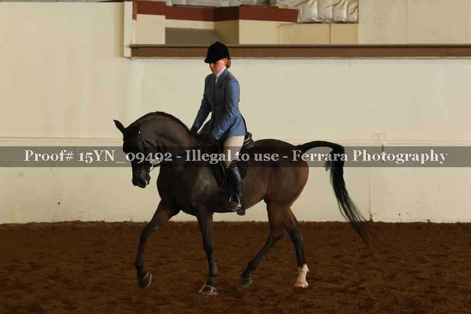 Proof 15YN_09492