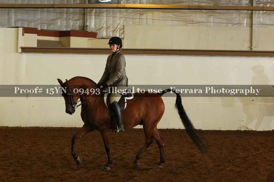 Proof 15YN_09493
