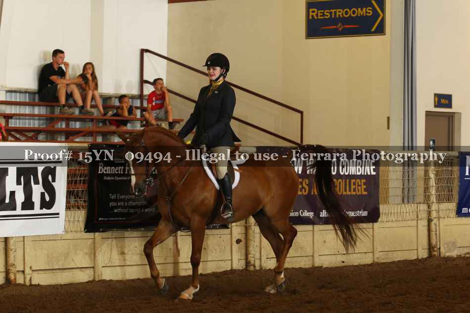 Proof 15YN_09494