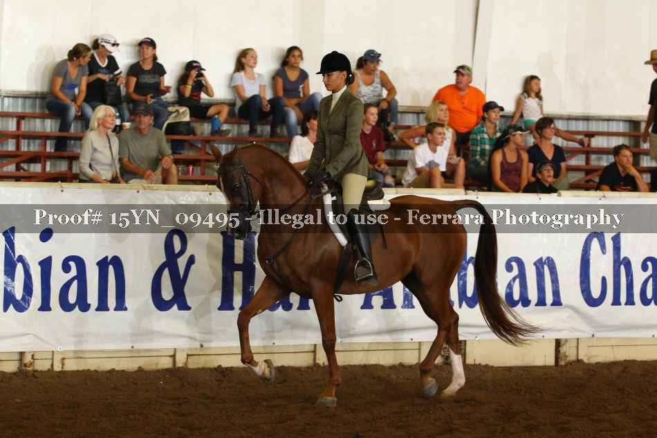Proof 15YN_09495