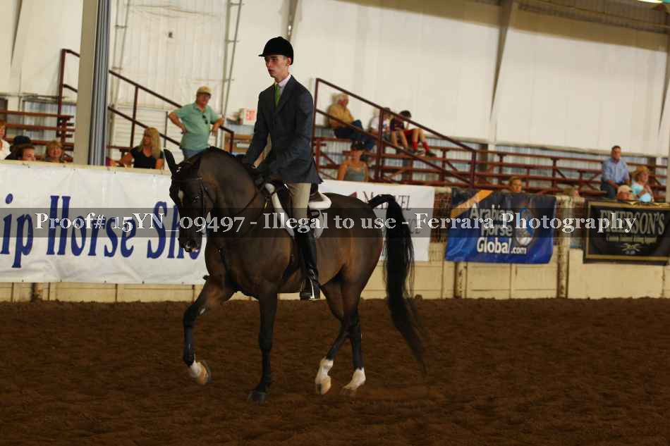 Proof 15YN_09497