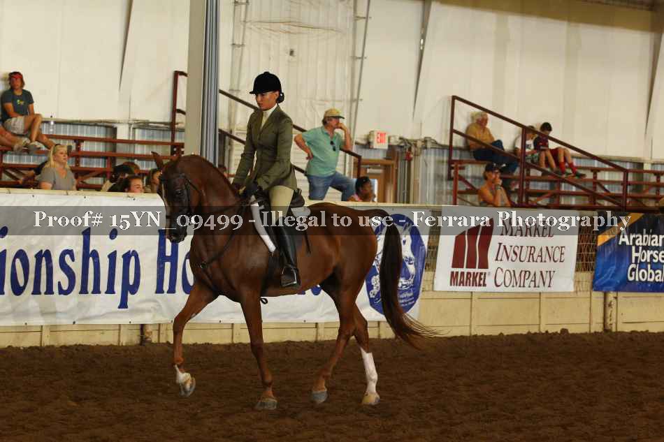 Proof 15YN_09499