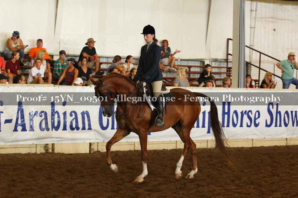 Proof 15YN_09501