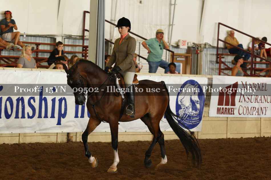 Proof 15YN_09502