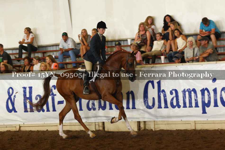 Proof 15YN_09505
