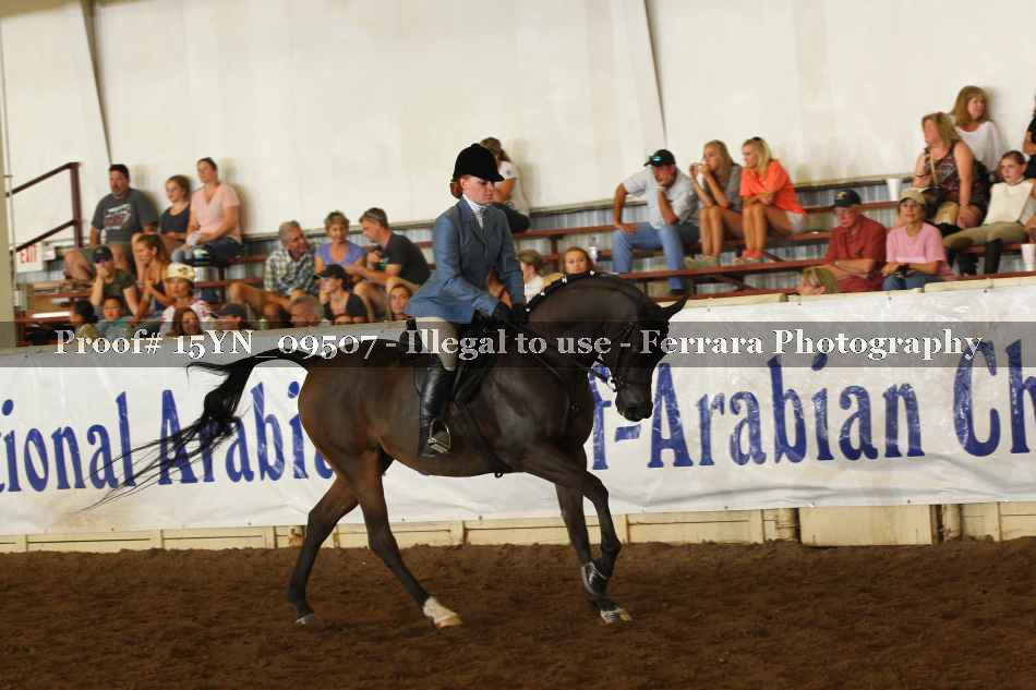 Proof 15YN_09507