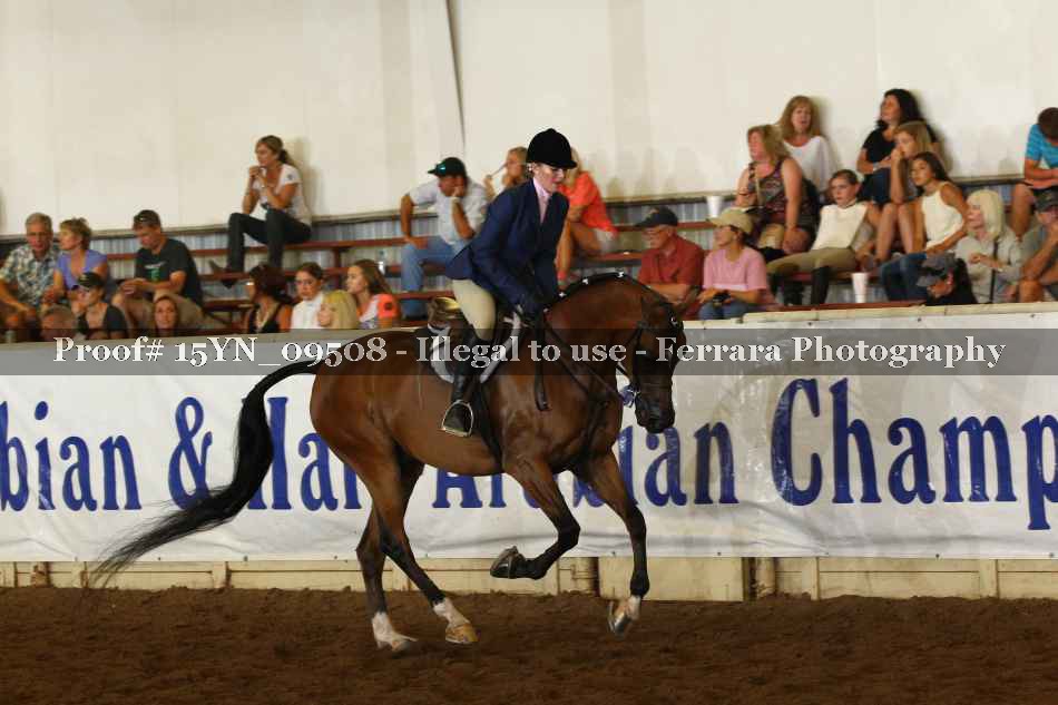 Proof 15YN_09508