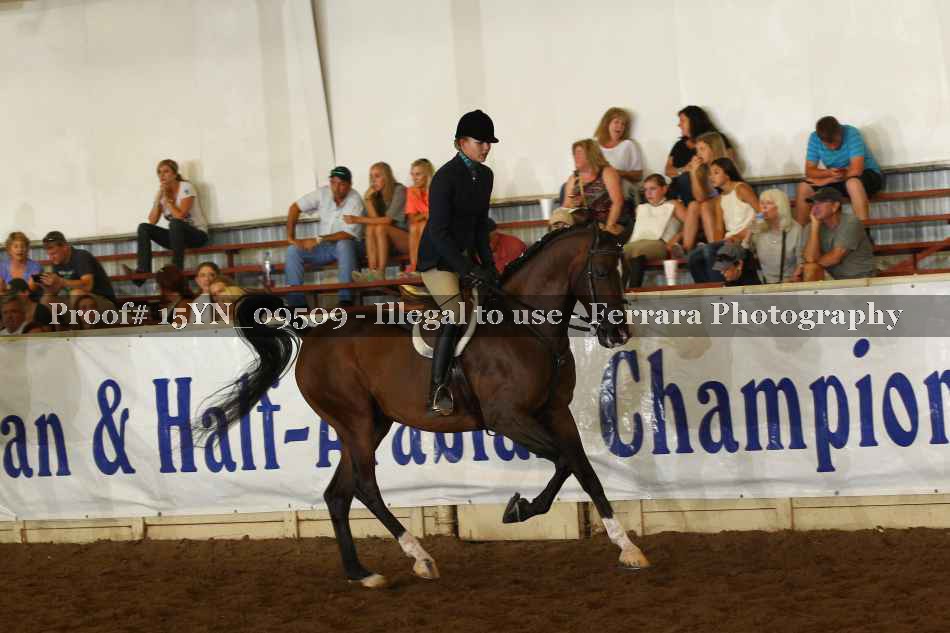 Proof 15YN_09509