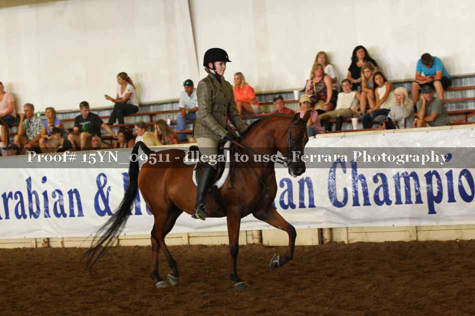 Proof 15YN_09511
