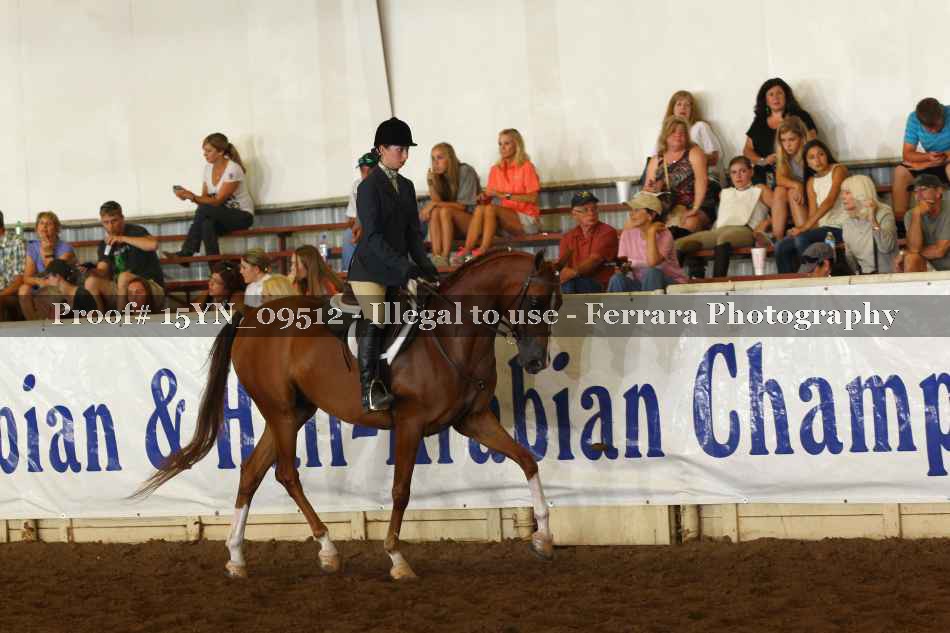 Proof 15YN_09512