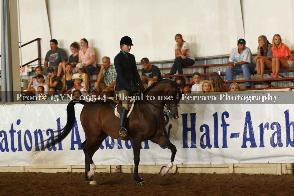 Proof 15YN_09514