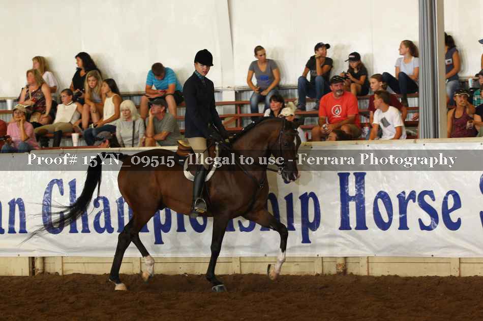 Proof 15YN_09515