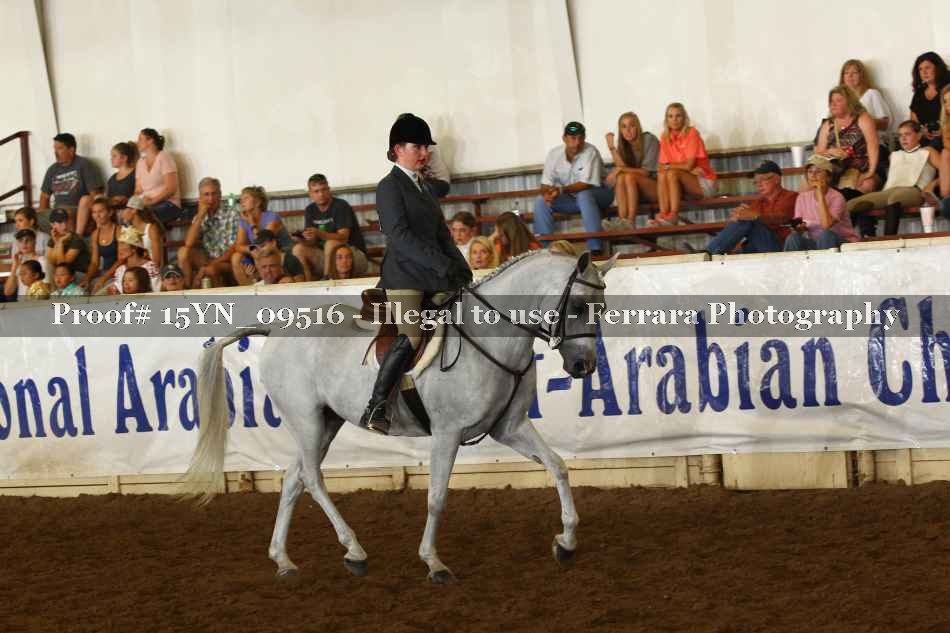 Proof 15YN_09516