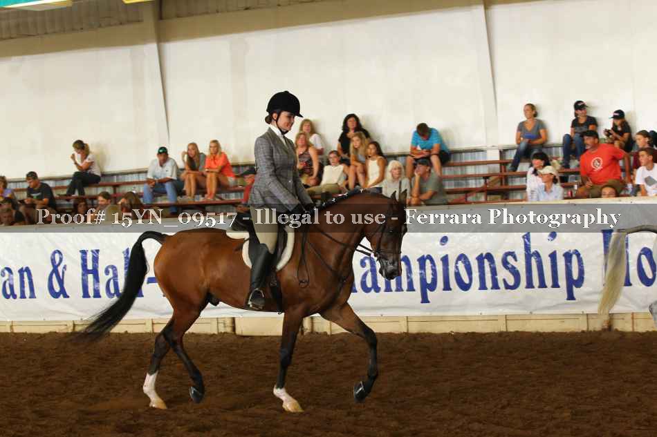 Proof 15YN_09517