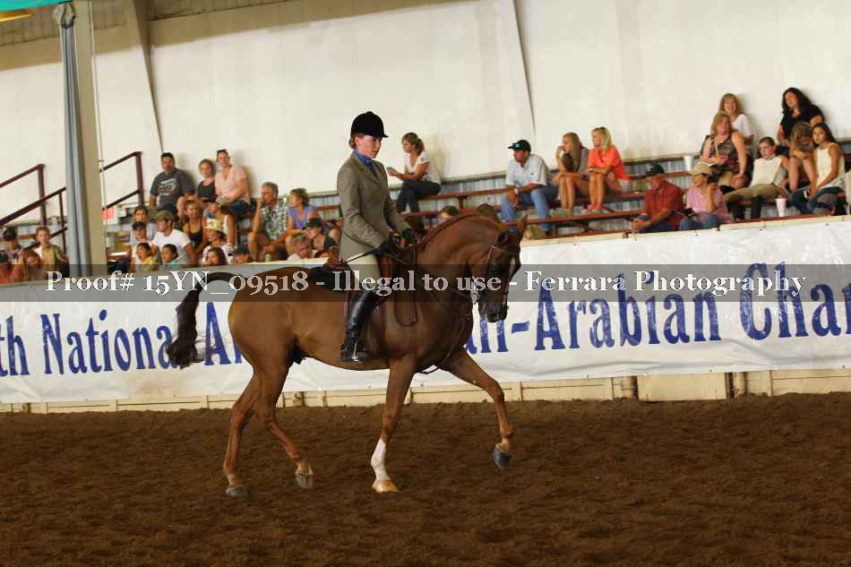 Proof 15YN_09518