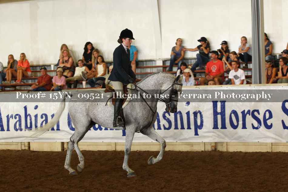 Proof 15YN_09521