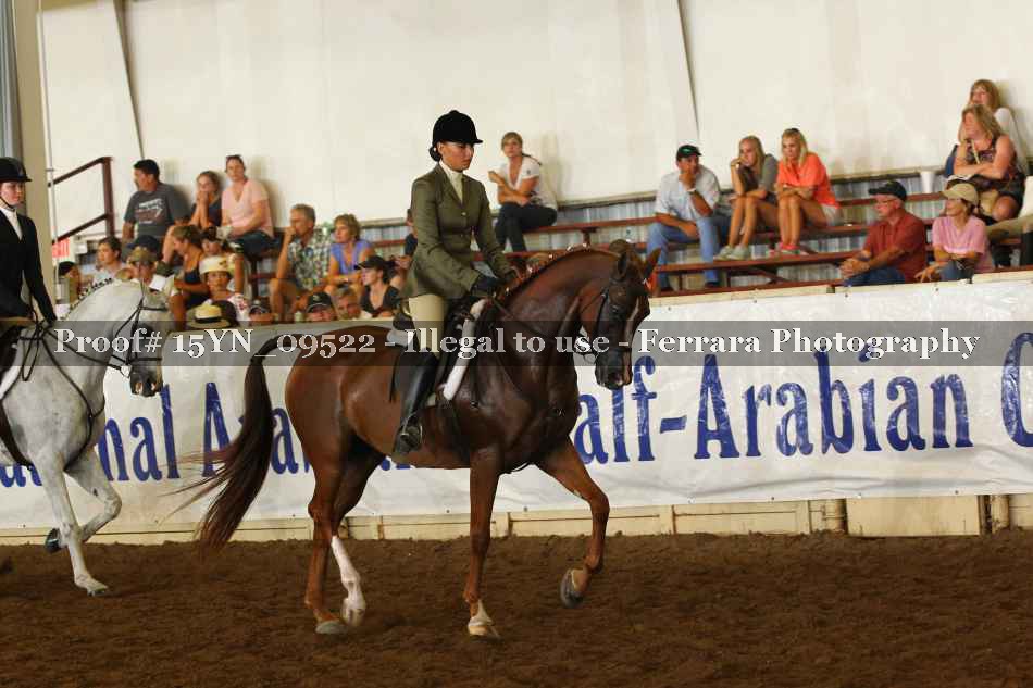 Proof 15YN_09522