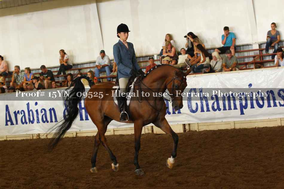 Proof 15YN_09525