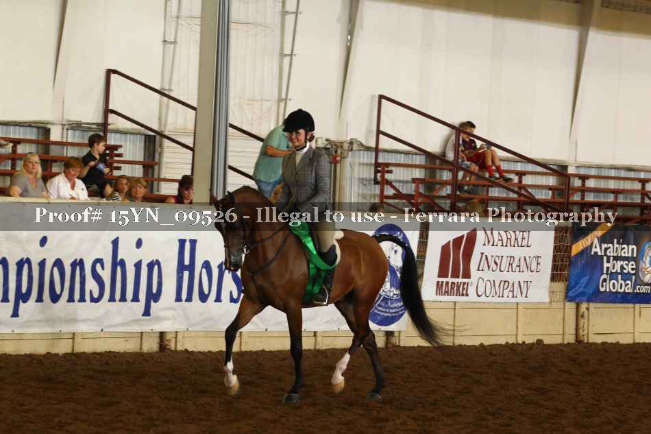 Proof 15YN_09526