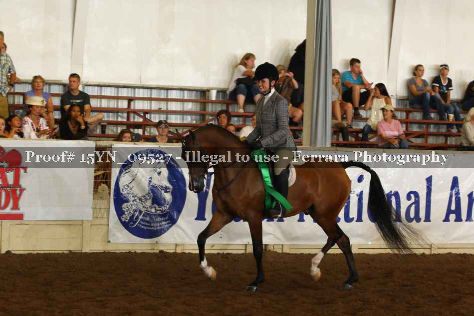 Proof 15YN_09527