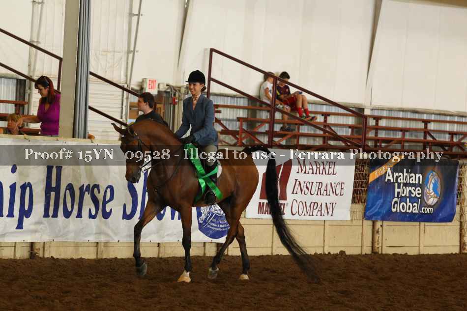 Proof 15YN_09528
