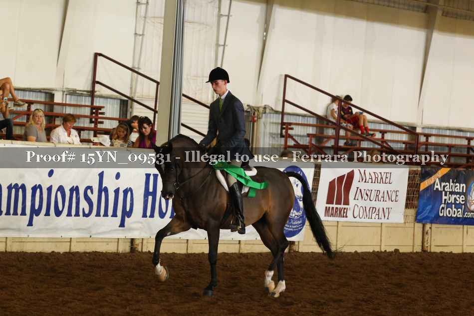 Proof 15YN_09531