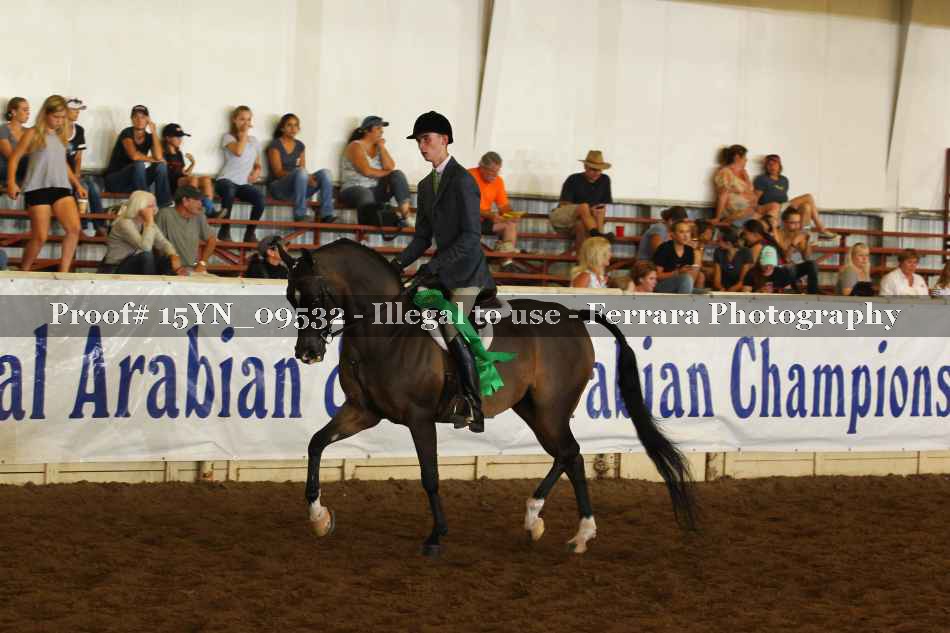 Proof 15YN_09532