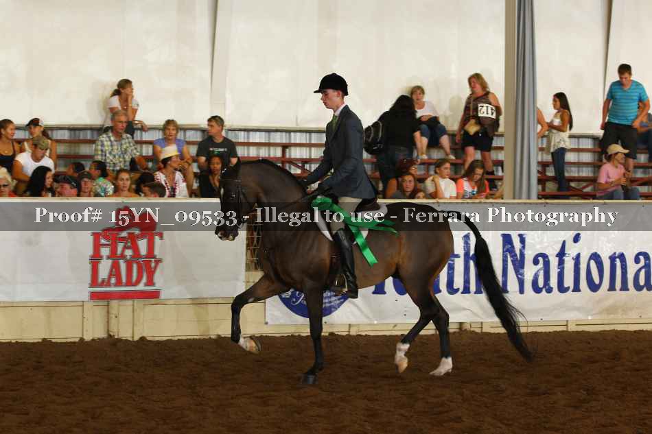 Proof 15YN_09533