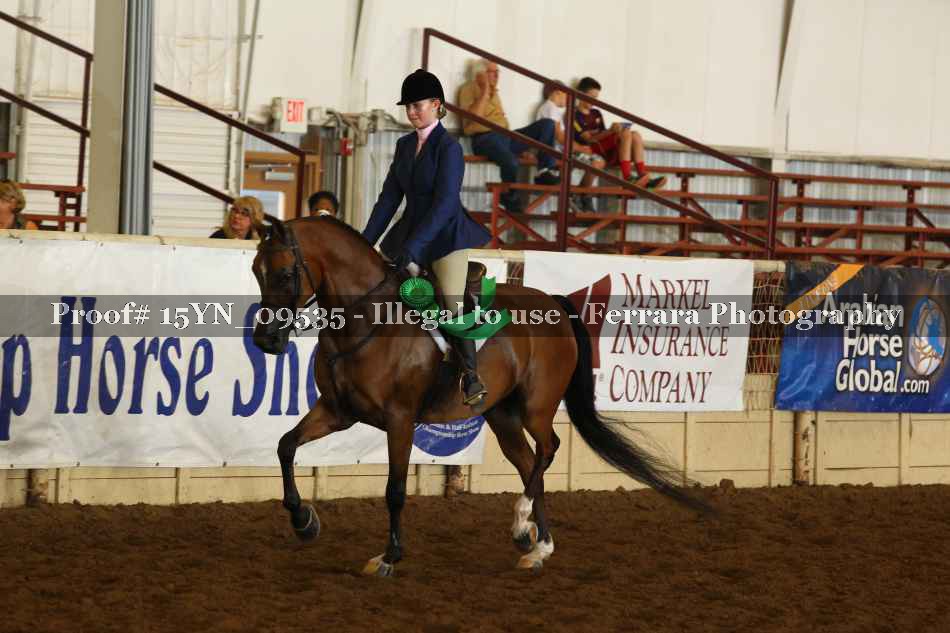 Proof 15YN_09535