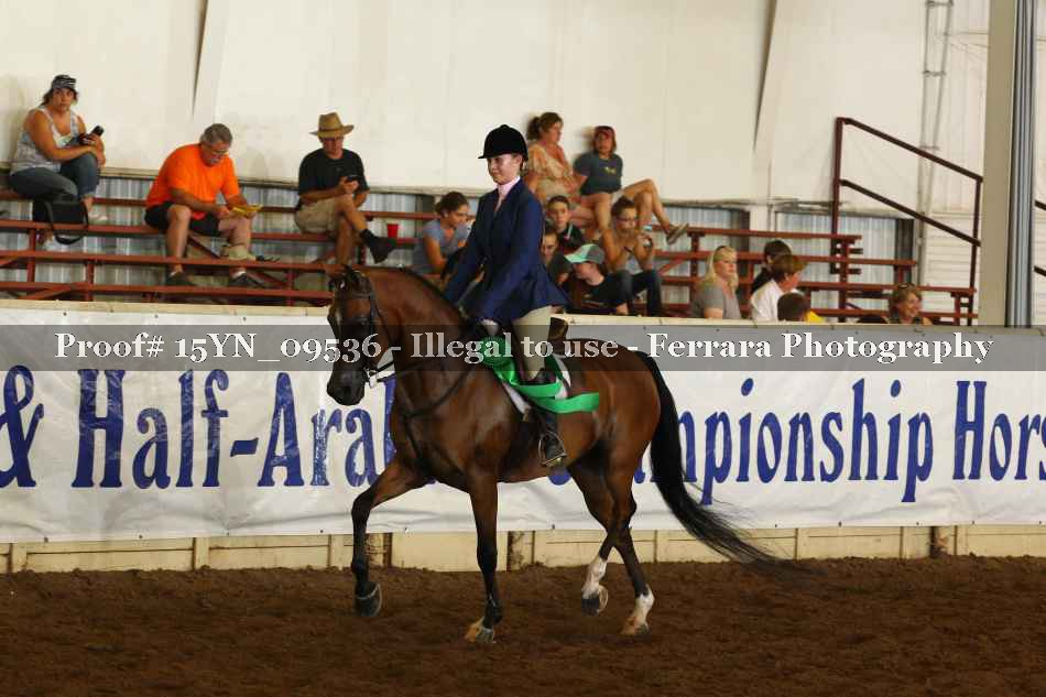 Proof 15YN_09536