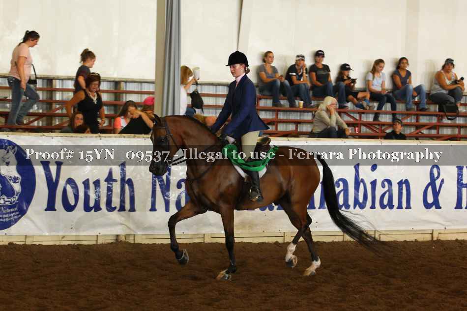 Proof 15YN_09537
