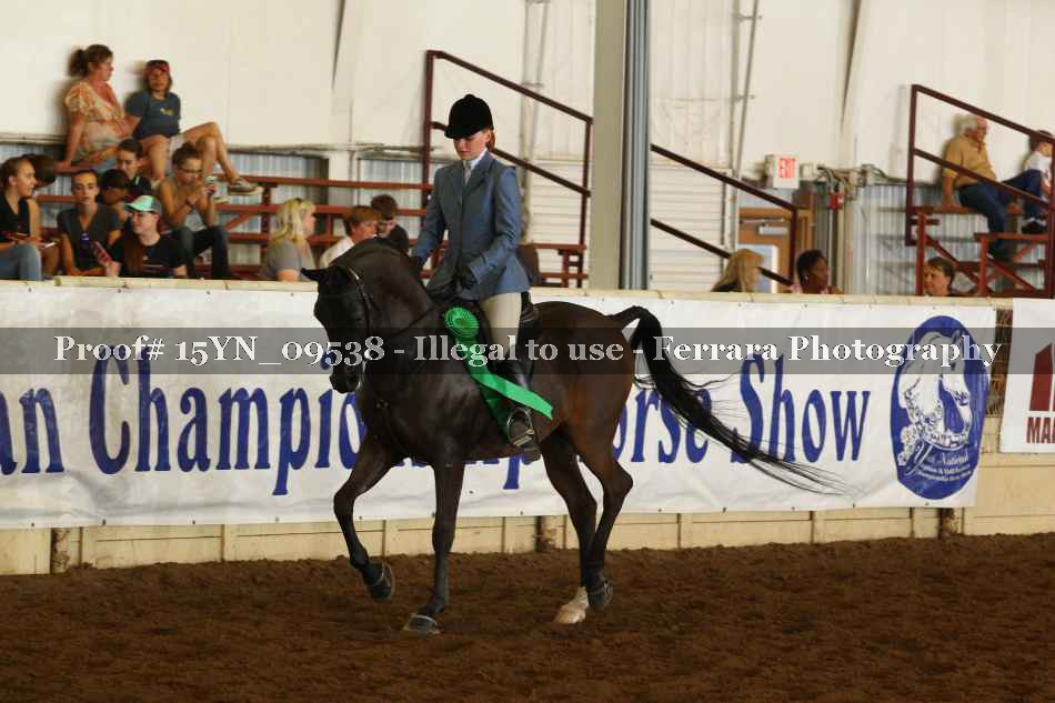 Proof 15YN_09538